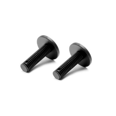 COMPOSITE REAR BODY HOLDER SCREW (2) - MEDIUM