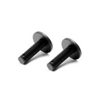 COMPOSITE REAR BODY HOLDER SCREW (2) - MEDIUM